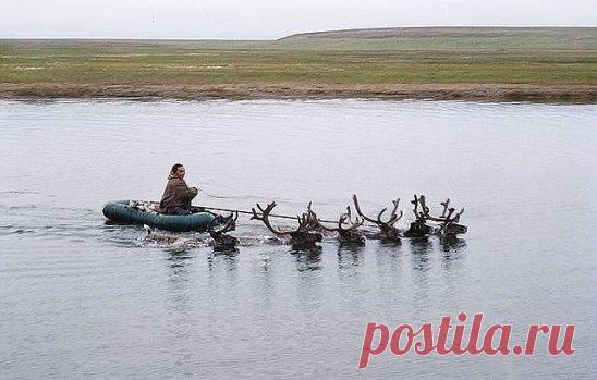 ...Вот такого (fr)...я ещё точно...не виделa...!