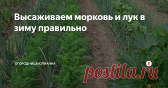 Высаживаем морковь и лук в зиму правильно Многие огородники для получения более раннего урожая высаживают семена растений в зиму. Я сегодня хочу рассказать, как можно посеять морковь и лук в зиму.
