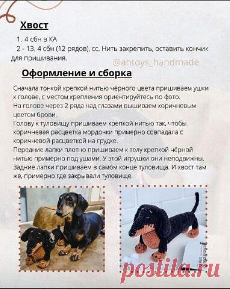 Создание чуда: мордашка моей любимой собаки