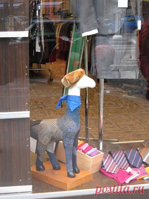 Витрина в Париже / Арт-объекты / Модный сайт о стильной переделке одежды и интерьера