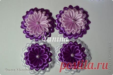 Мк цинии | Страна Мастеров