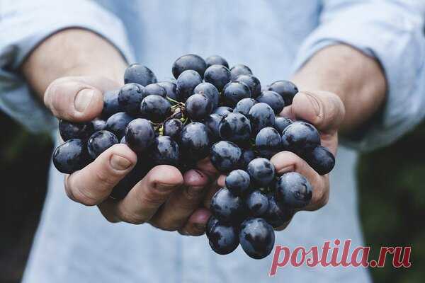 О том, что эти продукты можно заморозить вы даже не догадывались! | Мама на кухне | Яндекс Дзен