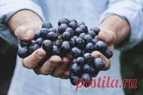 О том, что эти продукты можно заморозить вы даже не догадывались! | Мама на кухне | Яндекс Дзен