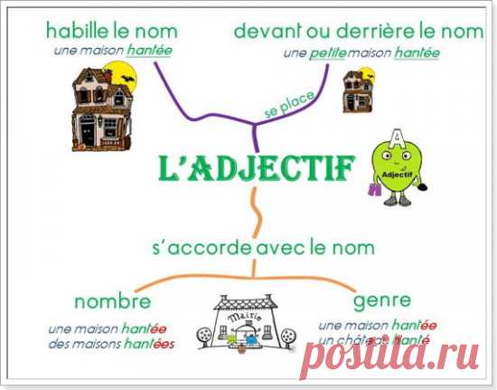 Прилагательное во французском языке: образование и употребление