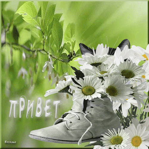 ♡ МУЗЫКАЛЬНОЕ ПОЗДРАВЛЕНИЕ ♡ - ПРИВЕТ!!!