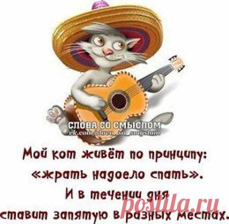 Обо всем