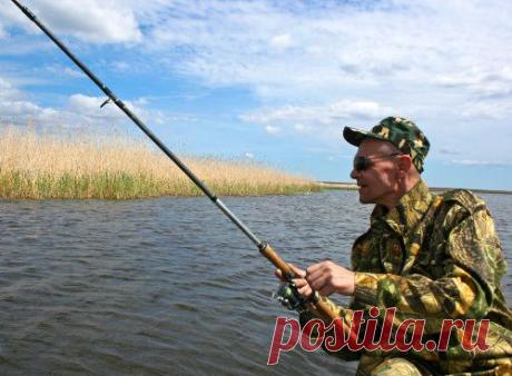 Улов был богат, да садок виноват