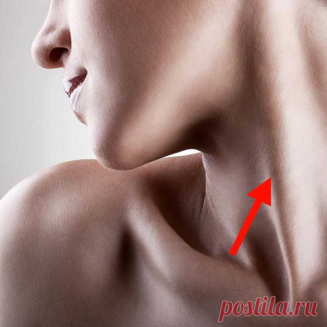 Зачем разминать шею. Видео приемы
Потому что здесь проходят две важнейшие «трассы» — одна снабжает кровью голову, другая- отводит. Что равнозначно важно для нашего здоровья: полноценное питание головного мозга, органов головы и лица и отсутствие застойной жидкости в тканях. ⠀Из-за того, что в нашем веке мы почти живем шеей вперед и вниз (работа за компьютером, смартфоном) кивательные мышцы (и не только […]
Читай пост далее на сайте. Жми ⏫ссылку выше