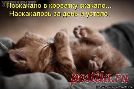Поскакало.