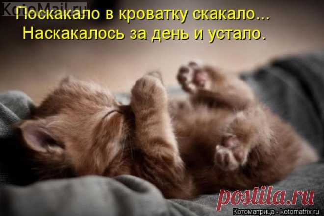 Поскакало.