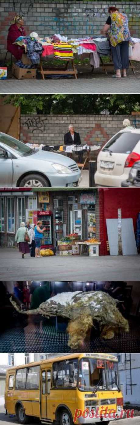 Торговцы оккупируют площадь Фокина во Владивостоке, несмотря на запрет. Последние новости Владивостока на PrimaMedia