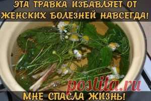 ЭТА ТРАВКА ИЗБАВЛЯЕТ ОТ ЖЕНСКИХ БОЛЕЗНЕЙ НАВСЕГДА!
