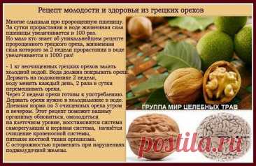 Рецепт молодости и здоровья из грецких орехов