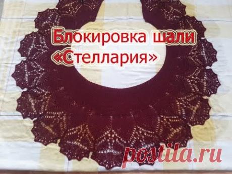 Блокировка шали фишю "Stellaria" .