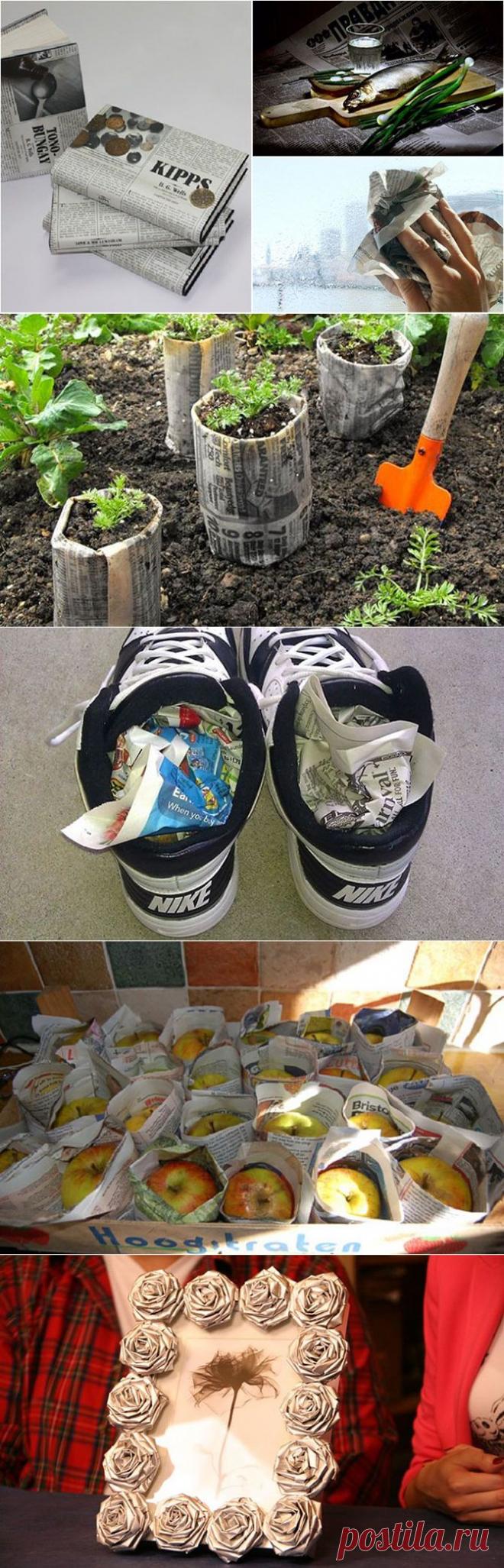 Как использовать ненужные газеты