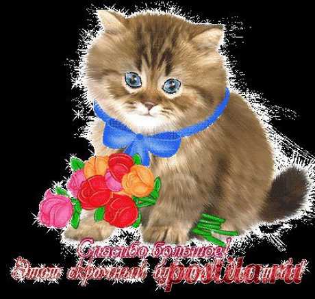(48) Одноклассники