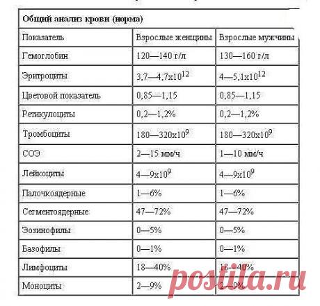 Доступно об общем анализе крови: учимся понимать свои анализы
К показателям общего анализа крови относятся (в скобках указана аббревиатура показателя):
Гемоглобин (HGB) - находящийся внутри эритроцитов белок, который отвечает за насыщение организма кислородом. В легких он соединяется с кислородом и доставляет его к органам. Там кислород заменяется углекислым газом, который доставляется в легкие. Так и происходит газообмен. По нормам общего анализа крови показатель гемоглоб...