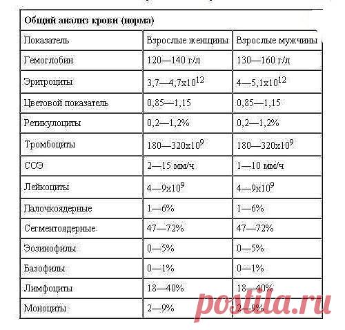 Доступно об общем анализе крови: учимся понимать свои анализы
К показателям общего анализа крови относятся (в скобках указана аббревиатура показателя):
Гемоглобин (HGB) - находящийся внутри эритроцитов белок, который отвечает за насыщение организма кислородом. В легких он соединяется с кислородом и доставляет его к органам. Там кислород заменяется углекислым газом, который доставляется в легкие. Так и происходит газообмен. По нормам общего анализа крови показатель гемоглоб...