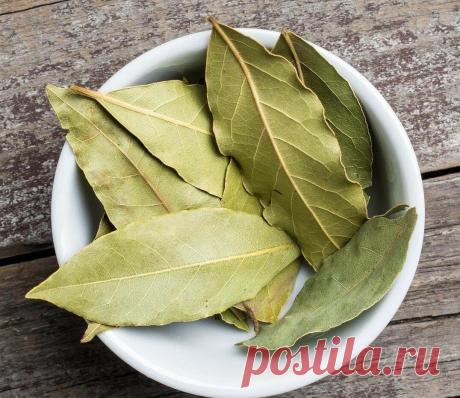 ОТ МОШЕК В КРУПЕ, СПЕЦИЯХ И ДР.ВРЕДИТЕЛЕЙ В ПРОДУКТАХ-Я уже пять лет пользуюсь одной хитростью: всюду РАСКЛАДЫВАЮ листья лавра. Метод действенный и надежный У меня постоянно скапливаются пакеты со специями и приправами.