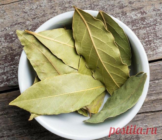 ОТ МОШЕК В КРУПЕ, СПЕЦИЯХ И ДР.ВРЕДИТЕЛЕЙ В ПРОДУКТАХ-Я уже пять лет пользуюсь одной хитростью: всюду РАСКЛАДЫВАЮ листья лавра. Метод действенный и надежный У меня постоянно скапливаются пакеты со специями и приправами.