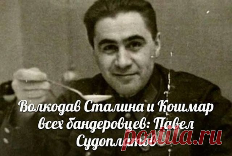 Для бандеровцев и неонацистов он стал «Неназываемым ужасом», а молодая бандеровская поросль вообще не слышала о советском герое, заслуженно названном «Волкодавом Сталина». 
Это именно он лично уничтожил двух вождей украинских националистов – Коновальца и Шухевича.