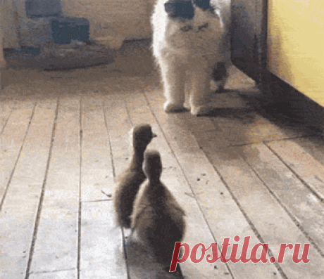 Мой Мир@Mail.Ru