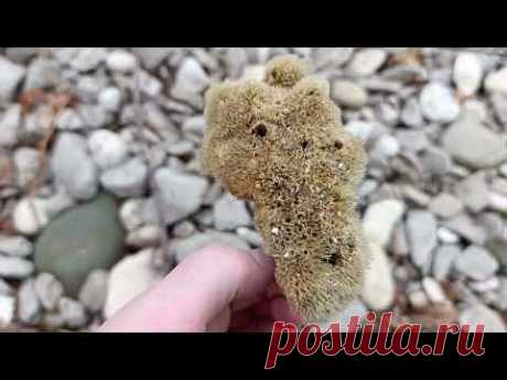 #пляж который не каждому понравится