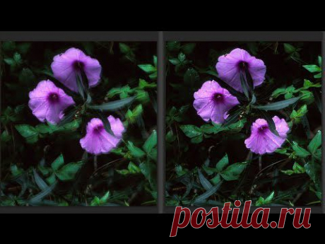 15 простых и эффективных уроков по фотошопу