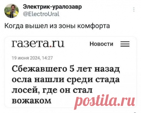 Да что вы знаете о жизни! https://seoded.livejournal.com/1324366.html