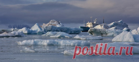 «Когда на Северной Земле прекращается ветер и наступает штиль — именно этот момент можно назвать улыбкой Арктики». Четыре больших острова и множество мелких: архипелаг севернее полуострова Таймыр, на границе Карского моря и моря Лаптевых, по площади превосходит Бельгию. В 1913 году Северная Земля стала последним крупным участком суши, нанесенным на карту мира, а в нашем новом номере мы рассказываем о недавней экспедиции российских ученых к труднодоступным берегам. #NGЛонгрид@natgeoru