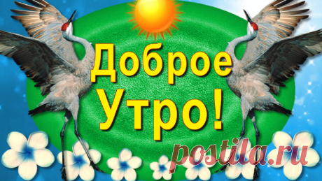 Желаю тебе доброго Утра, бодрости и приятного, благополучного Дня!