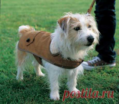 ПАЛЬТИШКО ДЛЯ ПИТОМЦА