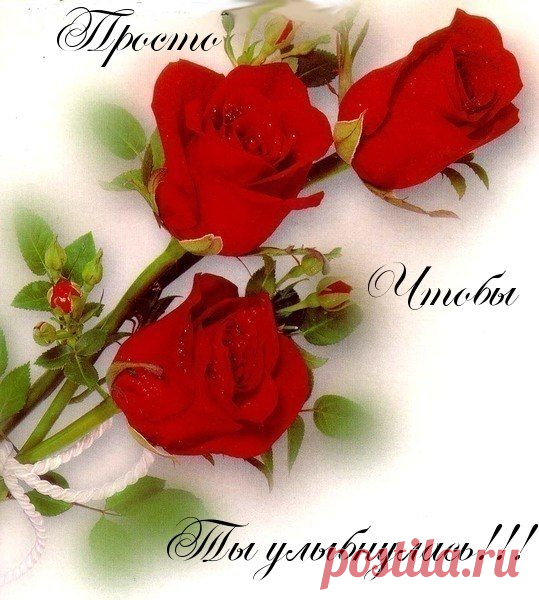 9XO_Z8nxwBY.jpg (539×600)
