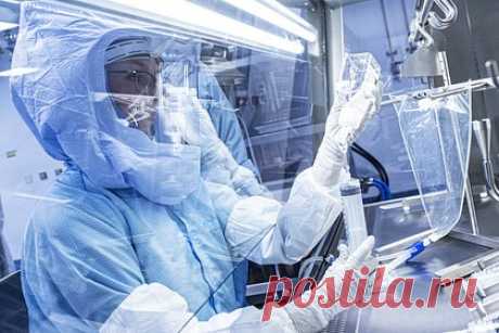 В Pfizer признали факт исследований «направленной эволюции» ради прибыли. В американской фармацевтической корпорации Pfizer признали факт исследований «направленной эволюции» ради повышения прибыли. Об этом заявил начальник войск радиационной, химической и биологической защиты (РХБЗ) ВС РФ Игорь Кириллов в ходе брифинга, касающегося военно-биологической деятельности США.