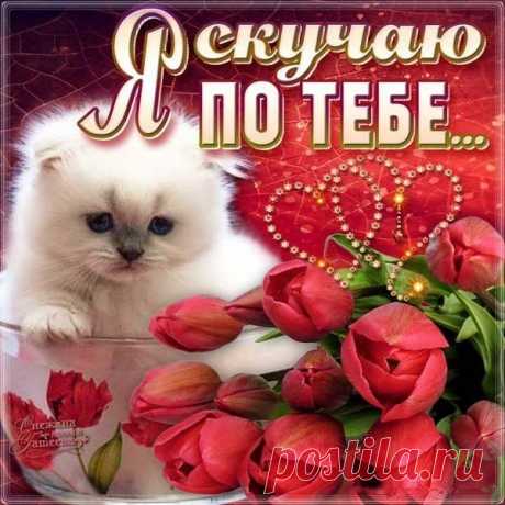 Тамара Петрашова