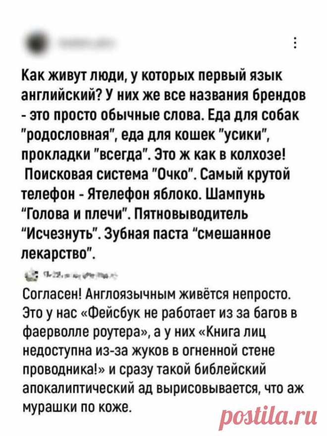 Бедненькие... https://seoded.blogspot.com/2025/11/inglish.html
#юмор #контент