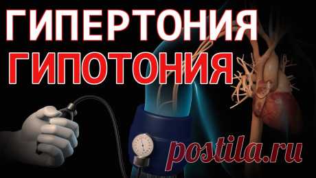 https://www.youtube.com/watch?v=PE6v8MnKz5c
Гипертония и гипотония - это заболевания, которые имеют одну общую и чаще всего встречающуюся причину. 
В видео рассказывается о причине гипертонии и гипотонии и о способе избавления навсегда в 55% случаях.
Эффективность лечения в официальной медицине – 0% (полностью излечивать медицина не умеет!).
Эффективность лечения по методу Смолякова – 55% (в некоторых случаях бывает весьма эффективен!).