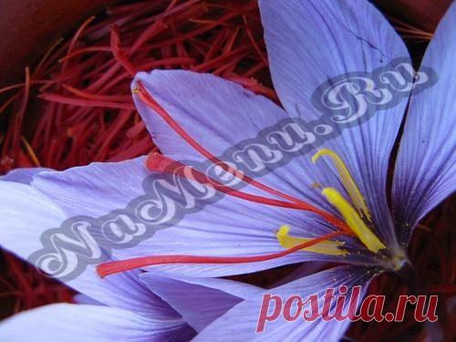 Приправа шафран - царь приправ!..