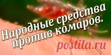 Как защититься от комаров народными средствами.И ЗДЕСЬ --- http://www.mymilady.ru/8-ubijstvennyx-aromatov-ot-komarov/#more-1272