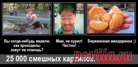 "При Ольге не помирают." Деревенская медсестра, громогласная грубиянка, которая вихрем носится по больнице