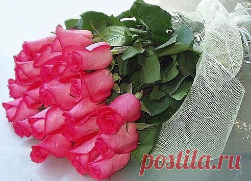 Ирина Георгиевна Я
Россия, Иди с Богом
все её фото