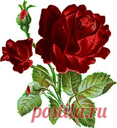 Ты для меня - глоток воды в пустыне...