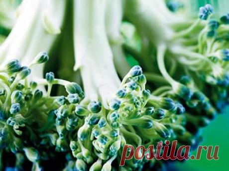 Совет дня от X-Fit. Ешьте самую полезную капусту - брокколи. Здоровое питание и диеты на Gastronom.ru