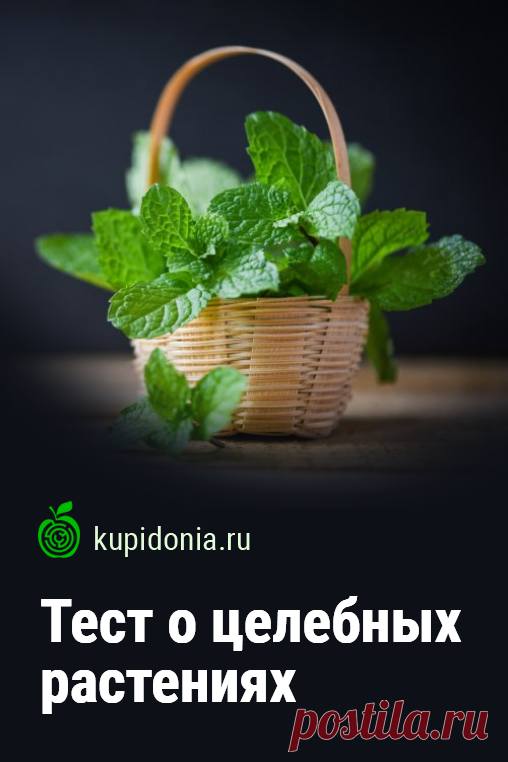 Тест о целебных растениях: Съешь осиновой коры и взбодришься до поры!. Растения с давних времён помогали людям и животным избавляться от разных недугов и хворей. Они и кровь остановят и нервы успокоят. Тест с картинками о целебных растениях, который ждёт вас на нашем сайте, проверит ваши знания.