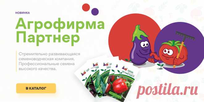 Почта Mail.ru