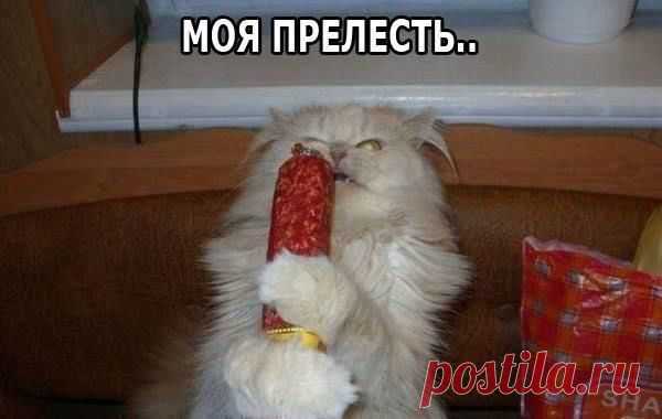 (3) Facebook