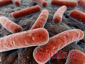 Человек скоро будет доживать только до 20 лет