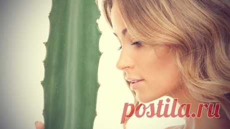 3 способа обратить вспять старение кожи естественным путем | Все об Осознанной Красоте