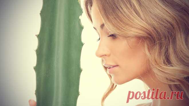 3 способа обратить вспять старение кожи естественным путем | Все об Осознанной Красоте