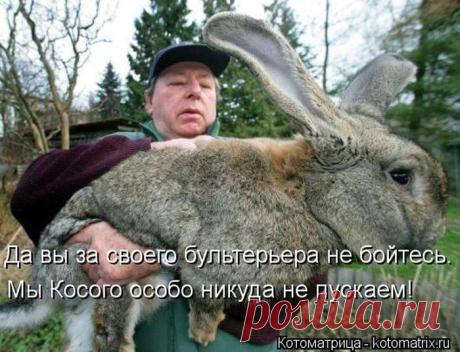 Приколюшки